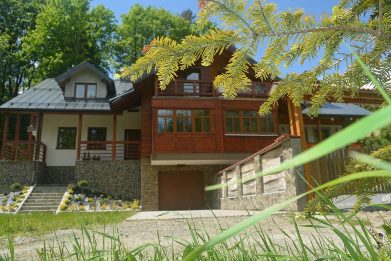 Domek Nad Kryniczanka Криница-Здруй Екстериор снимка